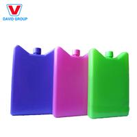 Glacière en plastique HDPE OEM réutilisable personnalisée Vente en gros Glacière en brique de glace Glacière pour chaîne du froid Expédition alimentaire