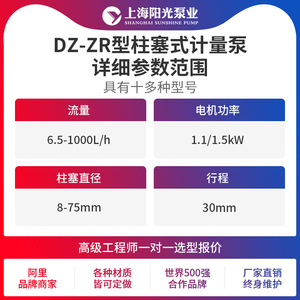 ปั๊มสูบจ่ายสารเคมีแบบลูกสูบ Shanghai Sunshine Pump รุ่น DZ-ZR ทำจากสแตนเลส 316  กำลังไฟฟ้า 6.5 ลิตร/นาที ระยะส่ง 30 เมตร - Product Image 3