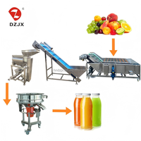 DZJX vend des lignes de production de nettoyage et de jus de fruits et légumes pour le jus de pomme, le jus d'ananas
