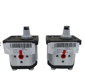 Pompe hydraulique à engrenages Fuge Paver WP09A1V1 WP09A1V2 WP09A2B0 WP09A4B1 Série WP300B1B025R22NA166N Pompe à engrenages haute pression - Product Image 4