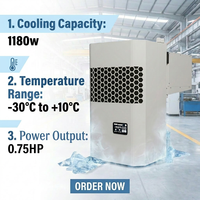 Unité de condensation monobloc écologique 1180W de puissance de refroidissement avec dégivrage à gaz chaud, murale pour chambres froides et congélateurs