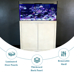 Maßgefertigtes Korallenriff-Fisch-Salzwasser-<span class=keywords><strong>Aquarium</strong></span> aus Eisenarmem Glas, Rotes-Meer-Fischbecken mit Überlauf und Stromversorgungsbox - Product Image 2