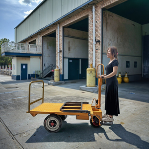 Carrello elettrico a spinta manuale in acciaio inossidabile con triciclo multiuso a 3 ruote da carico OEM capacità 1000kg per il trasporto di merci industriali - Product Image 1