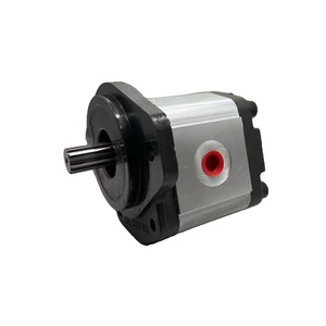 Pièces de machines de construction, pompe à engrenages 1PLA36DG09R - Product Image 4
