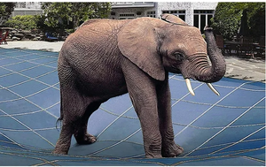 Couverture de sécurité personnalisable en PP pour piscine, résistante aux UV et au vent, s'adapte à toutes les formes - Product Image 5