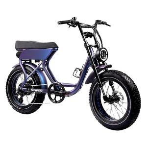 08 48V高電圧電動自転車 フルサスペンションアルミ合金フレーム ファットタイヤ-EU/US倉庫 - Product Image 2
