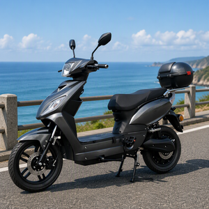 Scooter électrique pour adultes avec pédales, certifié EEC COC, 1000w 48v20ah 45KMH, best-seller en Europe - Product Image 3