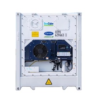 Carrier Thermo King Nieuwe En Gebruikte Stalen Koelkoeler Containers Fruit Congelador 40ft 20ft 10ft Met Bv Certificering
