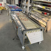 Jiayang Commerciële Sorteer- en Graderingsmachine voor Avocado's, Tomaten, Appels, Mango's, Meloenen, Aardappelen, en het sorteren op maat van fruit.