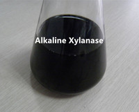 Xylanase alcaline de qualité supérieure à prix compétitif pour le blanchiment de la pâte à papier
