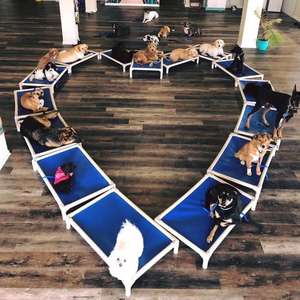 Camas elevadas para perros a prueba de masticación, camas para mascotas, marco de aluminio negro plateado, tamaño S <span class=keywords><strong>M</strong></span> L XL, cuna elevada para mascotas con refrigeración - Product Image 5