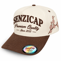 Casquette de baseball en coton Oxford à 5 panneaux avec broderie de logo personnalisé, style A-Frame, snapback unisexe, vente en gros, Gorra De Béisbol OEM