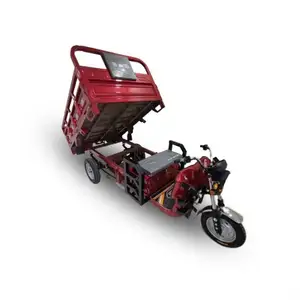 Sale Wholesale 36V Dual Battery Disabled Car Electric Tricycle With Roof For Sell