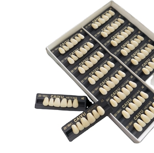 Dents synthétiques en résine acrylique antérieure supérieure à deux couches, certifiées CE/ISO, multi-tons - Product Image 1