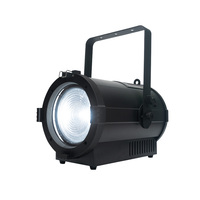 Projecteur Fresnel LED 300W WW CW Blanc réglable 2800K-6500K 8 ° -60 °   Projecteur de scène DMX pour studio de diffusion HD avec zoom électrique