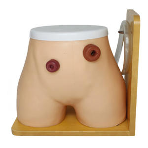Advancd con người giải phẫu LỖ RÒ <span class=keywords><strong>ostomy</strong></span> đào tạo manikin y tế mô hình điều dưỡng cho y tá - Product Image 1