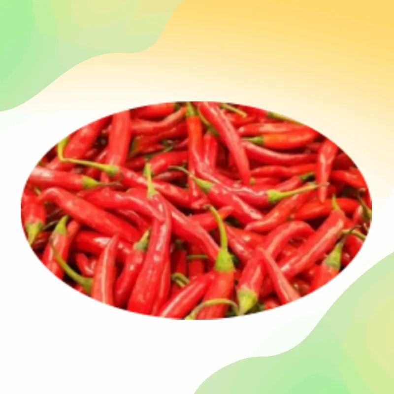 Ekstrak Capsicum curah ekstrak Capsicum alami bubuk capsaisin 98% murni