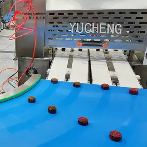 Shanghai Yucheng Co-Extruder Multi Head Nozzle Encrusting Machine