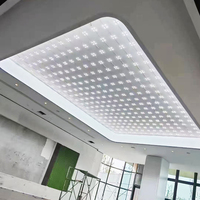 Film souple lumineux LED pour plafond en tissu tendu PVC ignifuge, très demandé