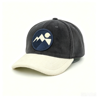 Gorra de béisbol de pana bicolor con logotipo bordado personalizado, estilo Dad Hat sin estructura, gorra Trucker vintage con parches y diseño de frutas.