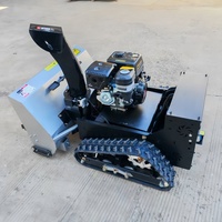Soplador de Nieve Robótico Portátil con Orugas y Motor de Gasolina/Diésel de Arranque Eléctrico WIGON, Control Remoto, 1 Año de Garantía, 228 kg