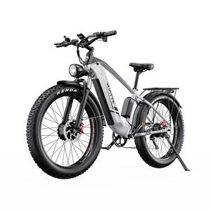 Vélo électrique Duotts F26 Hide avec batterie 20ah, double moteur avant et arrière, livraison depuis l'entrepôt européen - Product Image 1