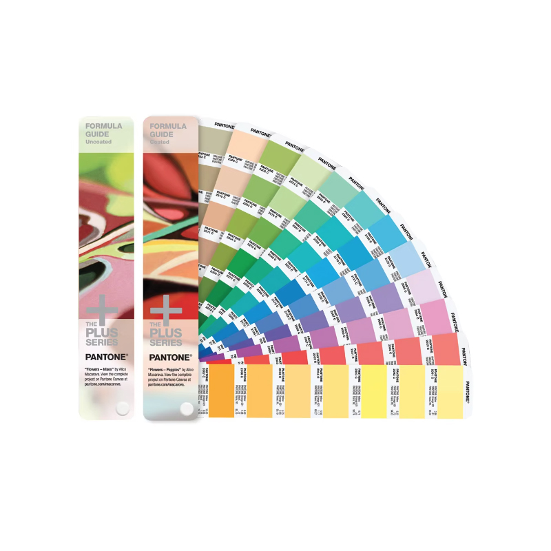 custom color