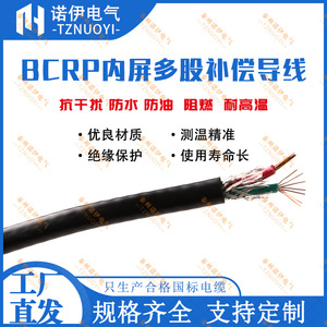 Cable de Compensación para Termopar Tipo B, con Cubierta de PVC y Blindaje de Acero Inoxidable, Estándar Nacional, Alta Precisión, Marca TZNUOYI - Product Image 5