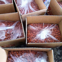 Nouvel Arrivage : Prunes Sucrées Séchées et Conservées pour les Amateurs de Prunes, Fruits Confits 2,5 kg, Snack en Forme de Boule pour les Moments de Détente, Idéal pour Satisfaire les Envies
