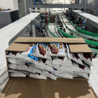 Machine d'emballage robotisée 3 axes pour bâtonnets de crème glacée, équipement de cartonnage automatique à la fin de ligne pour aliments surgelés