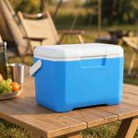 Glacière portable en plastique de 6 L, résistante à l'eau, pour la conservation de la glace jusqu'à 5 jours, idéale pour le camping, les pique-niques et les voyages