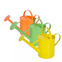 Arrosoir en métal pour jardin d'intérieur personnalisé en gros Vertak pour une utilisation en extérieur