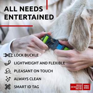 Collar Moderno para Perro Waudog Verde, 14-23 Pulgadas, 1 Pulgada de Ancho, Acolchado, de Nailon, con Hebilla Ajustable para Perros Medianos y Grandes - Product Image 6