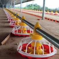 Équipement d'élevage avicole pour élevage de poulets, système d'alimentation automatique pour volailles, mangeoire à poulets, système de ligne d'alimentation pour volailles