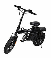Vélo électrique pliable de 20 pouces avec double siège