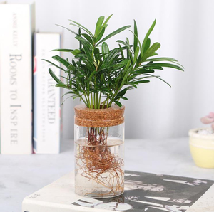 Fournitures d'usine bon marché grand cylindre de maison décorations de mariage nordiques modernes <span class=keywords><strong>Vase</strong></span> de fleur en verre Borosilicate transparent avec liège - Product Image 4