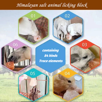 Sal Rosa del Himalaya Triturada 40-60G (Sal para Lamer Hecha a Mano) para Nutrición Animal y Uso Agrícola, Personalizable para Música, Amor y Navidad