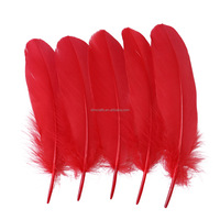 Plumes de nagoire d'oie colorées de 6 à 8 pouces pour ailes d'ange, déguisements de fête, carnaval, chapeaux, décoration de vêtements, bricolage