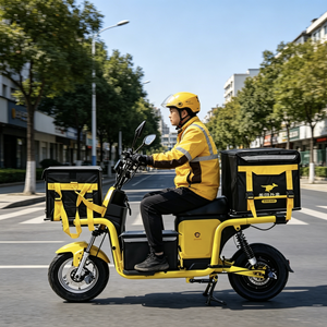 <span class=keywords><strong>Bicicletta</strong></span> <span class=keywords><strong>Elettrica</strong></span> da 1500W con Motore Posteriore, Ruote da 16 Pollici e Grande Capacità di Carico per Consegne a Domicilio - Product Image 4