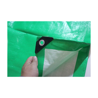 Tente de bâche PE imperméable bon marché Poly Tarps tissu de pluie avec longue durée de vie et protection UV