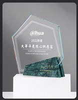 Trophée en cristal de verre pentagonal irrégulier, écologique, texte personnalisable, trophée en cristal K9