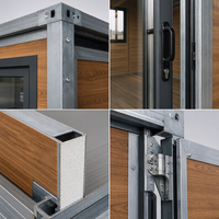 Maison conteneur pliable à double aile de 10 pieds, type cabane de camping avec cuisine et salle de bain, mini-maison, prête pour le glamping et l'hôpital, expédition immédiate