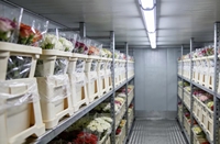 Cámara Frigorífica de Gran Capacidad para Floristería, Cuarto Frío para Almacenamiento de Flores