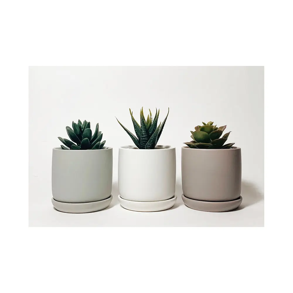 Modern Indoor Plant Pot Desktop Succulent Matte Color Ceramic Mini Planter Pot with Saucer