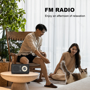 Beambox <span class=keywords><strong>Groove</strong></span> I PVC Radio FM populaire 10W de puissance portable avec carte mémoire haut-parleurs en bois étanches FM BT - Product Image 6