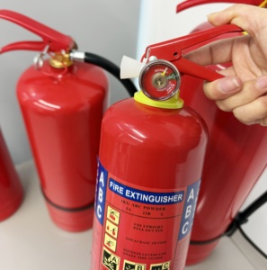 عرض المصنع: طفاية حريق ABC محمولة للسيارات، طفاية حريق بمسحوق جاف مع شهادة CE - Product Image 4