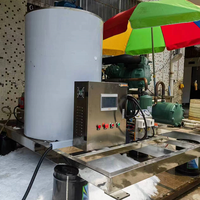 Machine à glaçons en flocons d'eau douce de 5 tonnes pour fruits de mer congelés