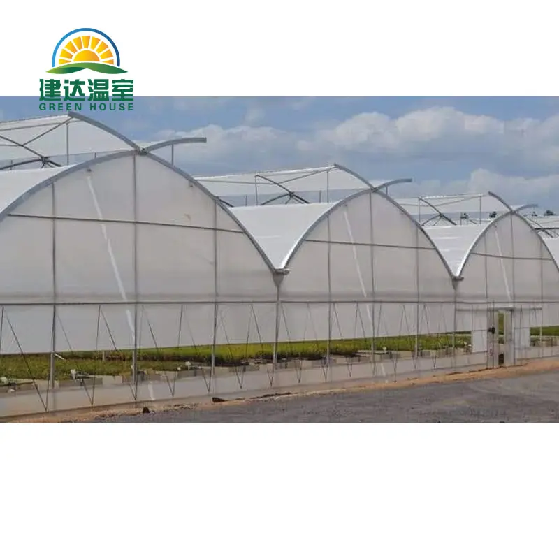 high quality low price PO PEP Film Plastic Greenhouse small for sale