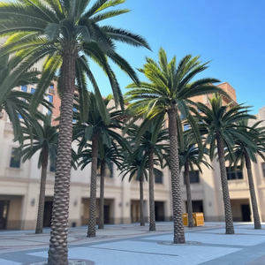 Grand faux <span class=keywords><strong>palmier</strong></span> personnalisé <span class=keywords><strong>Palmier</strong></span> artificiel Grand arbre décoratif artificiel certifié UV - Product Image 1