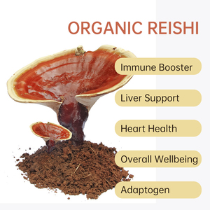Estratto di Fungo Reishi e Capsule di Melone Amaro, Integratore Alimentare a Base di Erbe per Supporto Immunitario e Benessere, Formula a Doppia Azione - Product Image 4